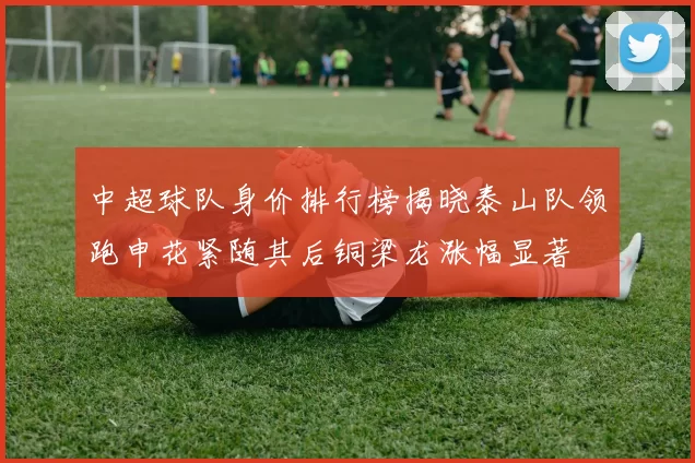 中超球队身价排行榜揭晓泰山队领跑申花紧随其后铜梁龙涨幅显著